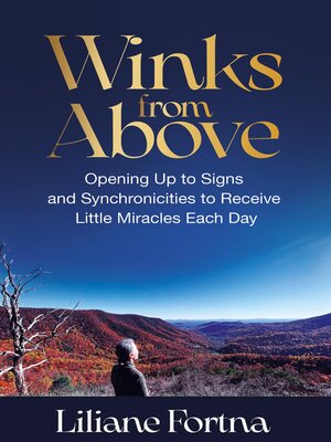 cover image of Winks from Above